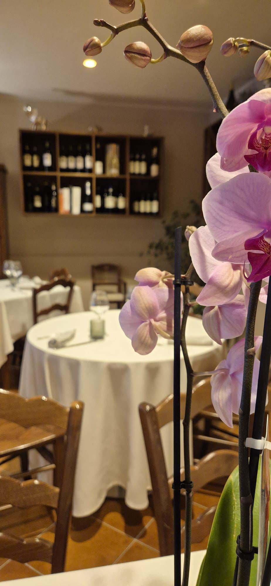 Interno La locanda di Enza 11